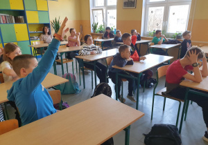 Zdjęcie 6 na 19