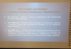 Zdjęcie 18 na 19