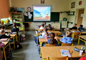 Zdjęcie 9 na 12