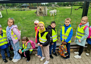Zdjęcie 26 na 66